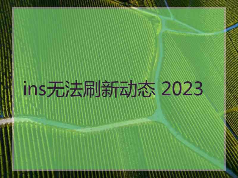 ins无法刷新动态 2023