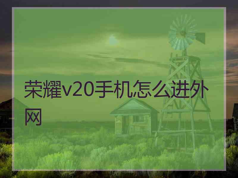 荣耀v20手机怎么进外网