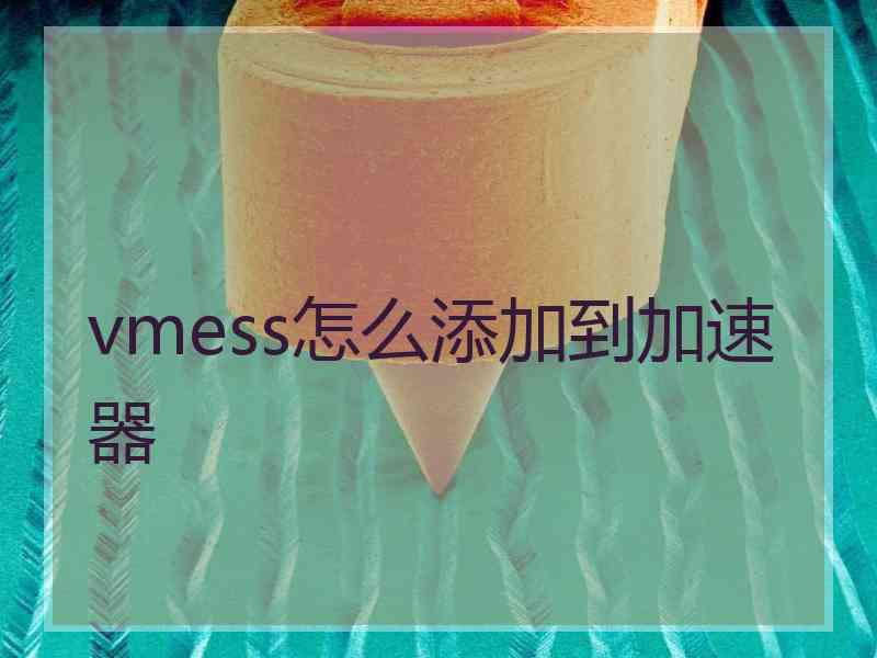 vmess怎么添加到加速器