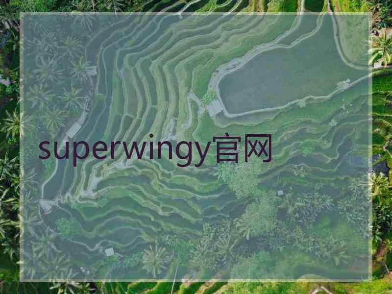 superwingy官网