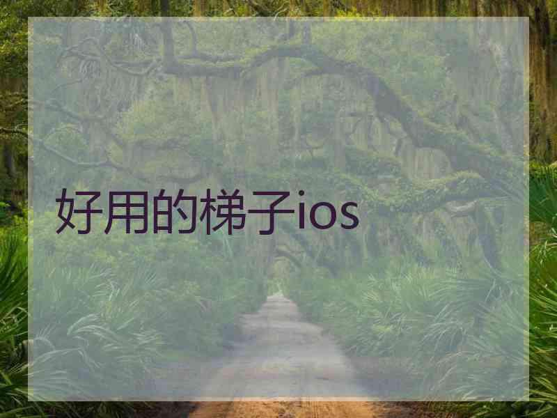 好用的梯子ios