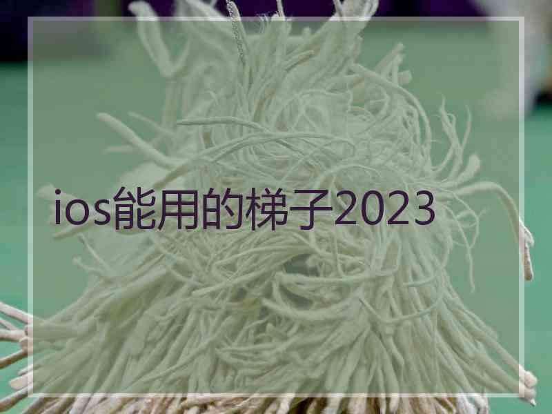 ios能用的梯子2023