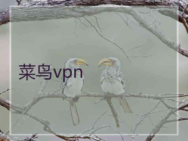 菜鸟vpn