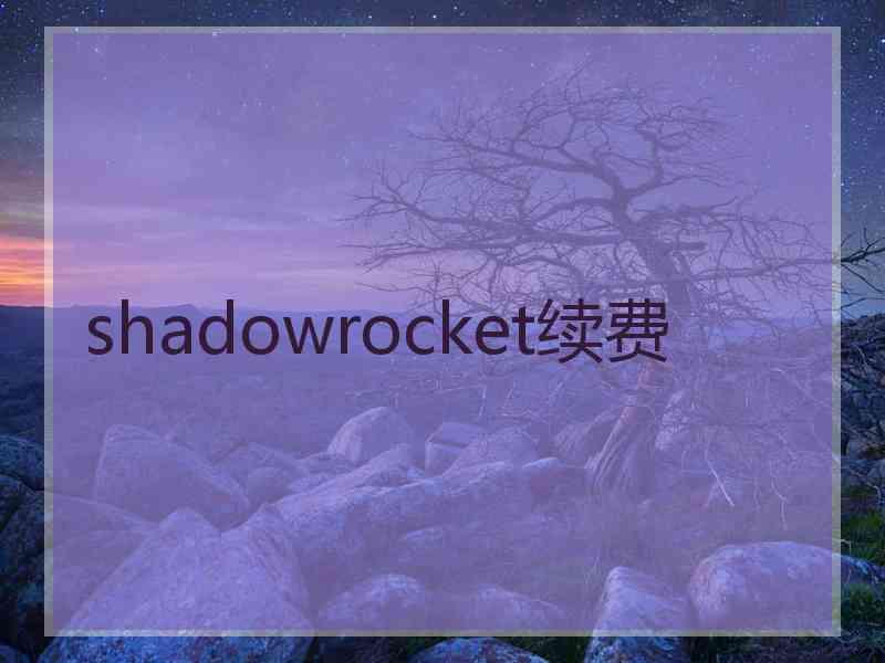 shadowrocket续费