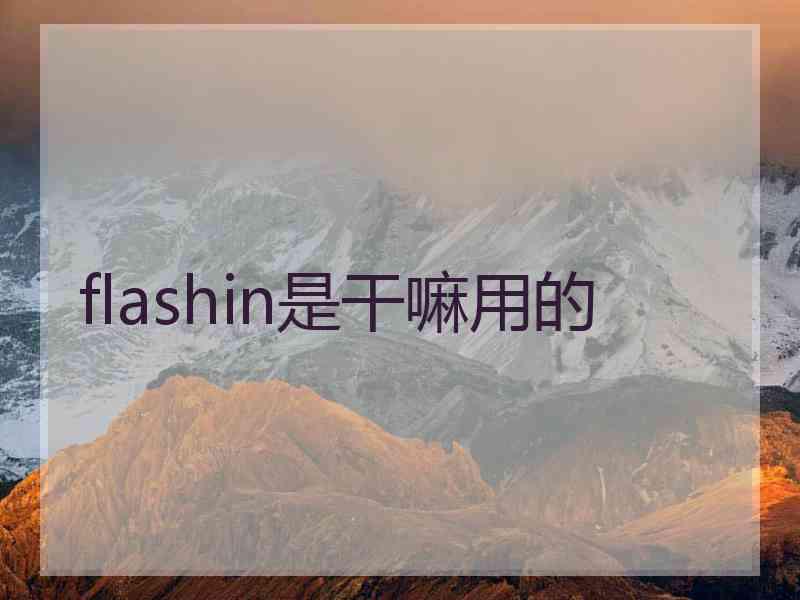 flashin是干嘛用的