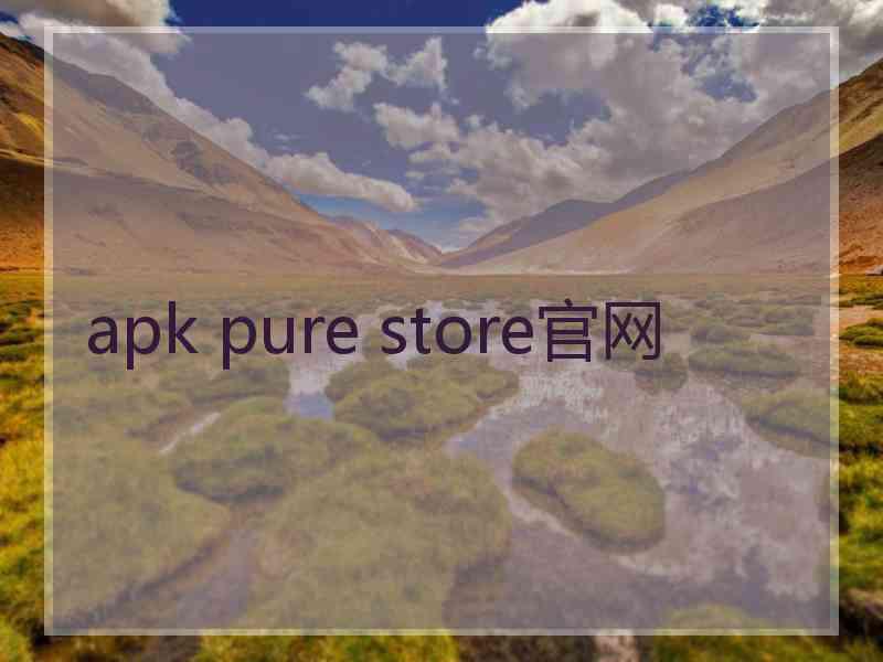 apk pure store官网