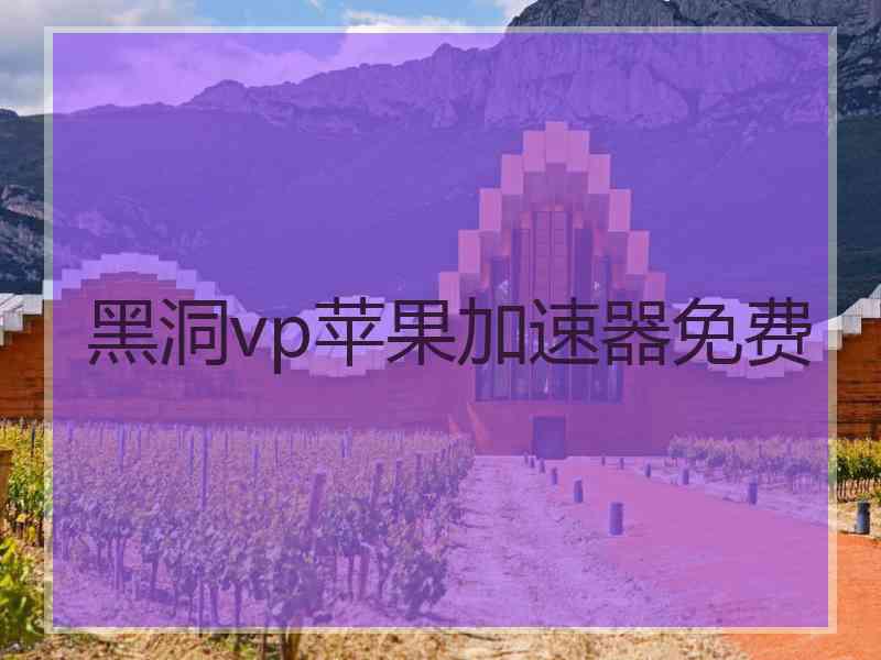 黑洞vp苹果加速器免费