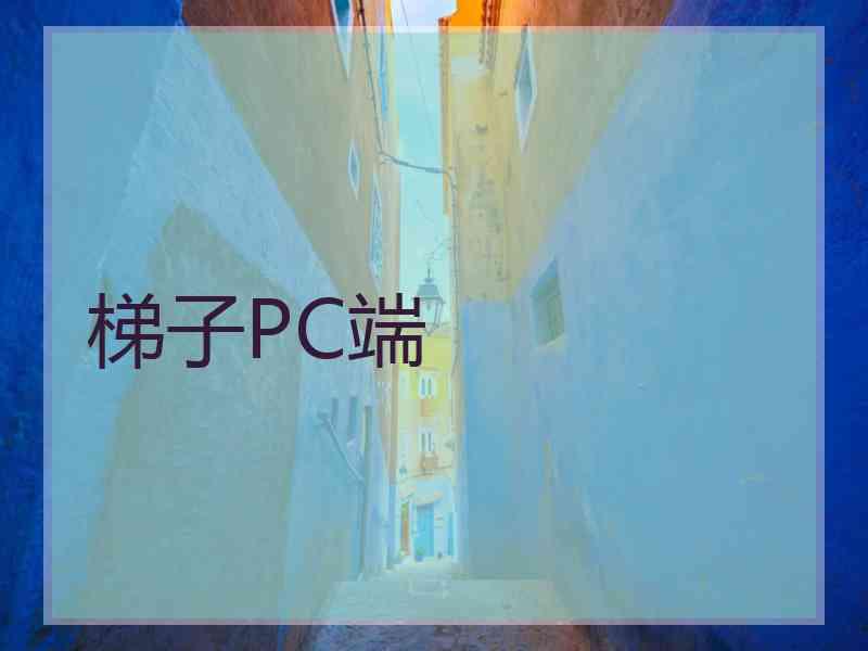 梯子PC端