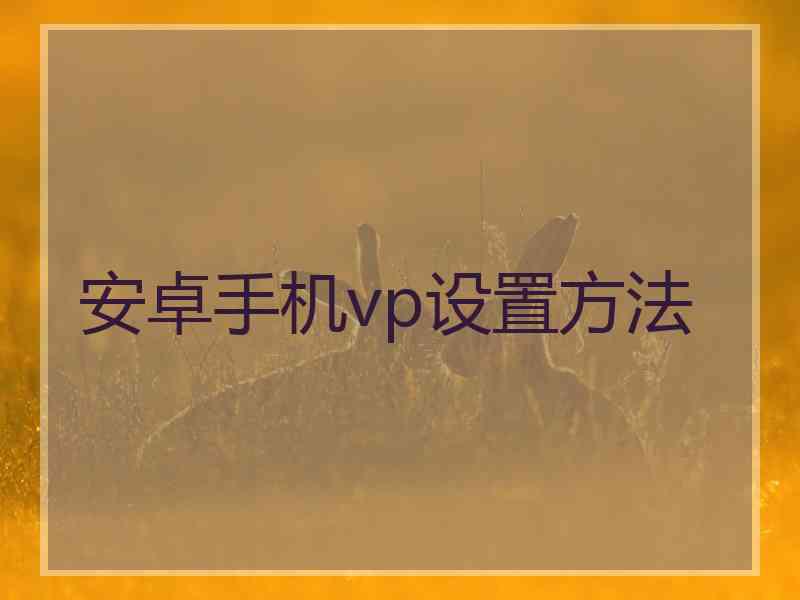 安卓手机vp设置方法