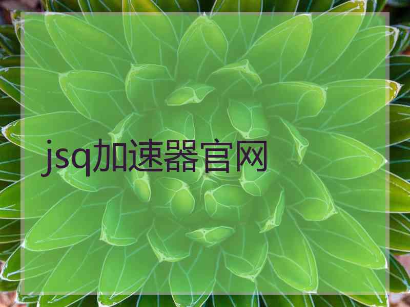 jsq加速器官网