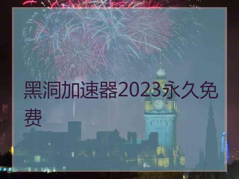 黑洞加速器2023永久免费