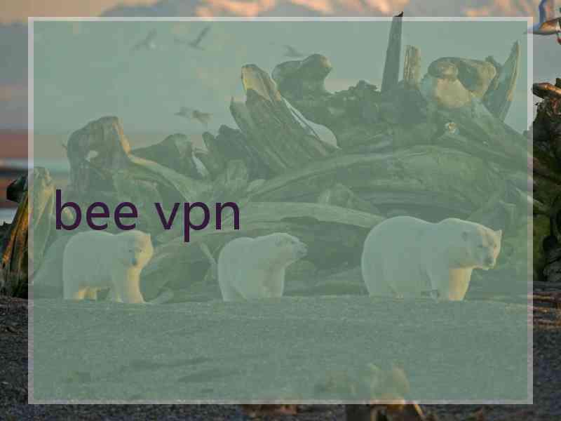 bee vpn